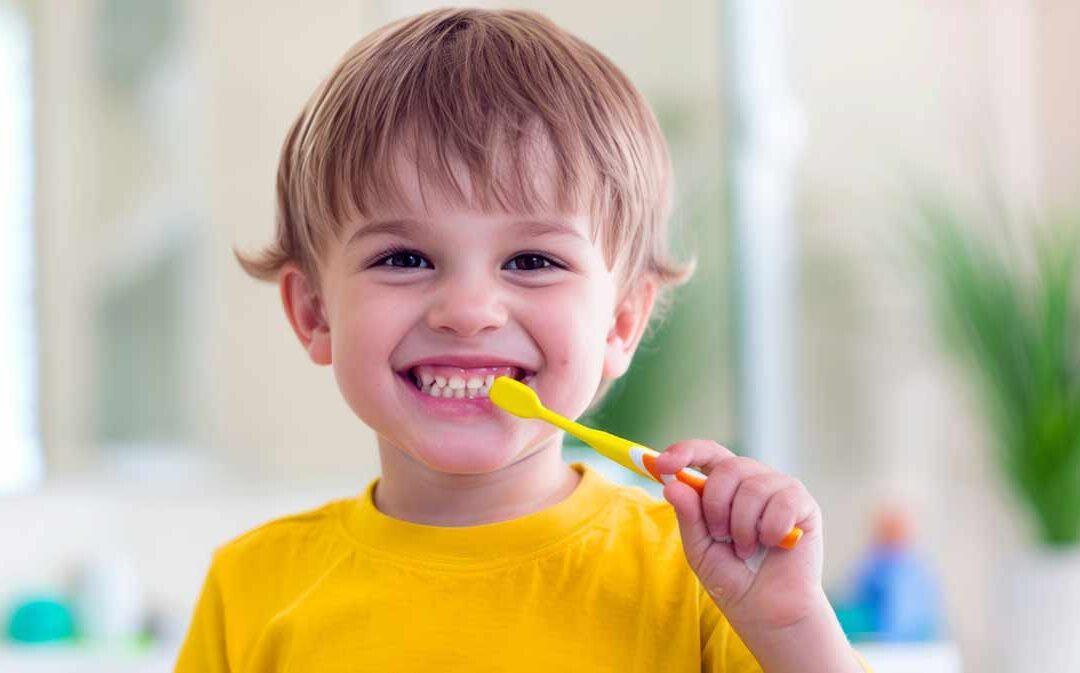 Dentista pediatra en Logroño, la mejor atención para la salud dental de tus hijos.